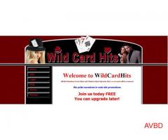 FREE WebSite Traffic