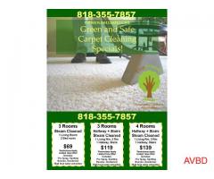 Power Wash Carpet Cleaning