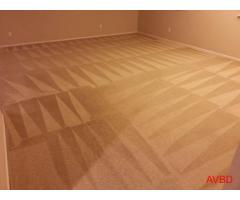 Power Wash Carpet Cleaning