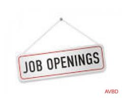 Wanted - Post Your Job Offers