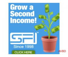 A Global Home Business Opportunity